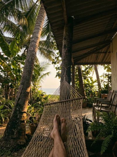 Bare feet up in a hammock strung between two palms, looking out past the trees to the sea and a covered house behind