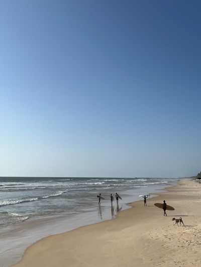 Five surfers carrying boards walking along the shoreline under a wide open sky, a dog trotting in the foreground